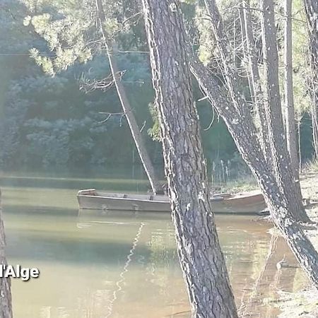 Casa Da Vila Figueiro Dos Vinhos Zewnętrze zdjęcie