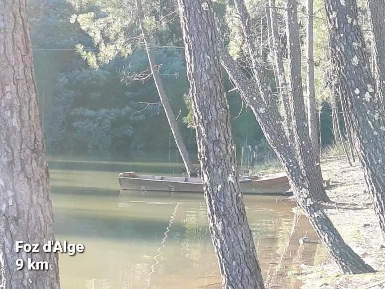Casa Da Vila Figueiro Dos Vinhos Zewnętrze zdjęcie