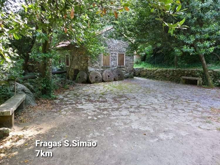 Casa Da Vila Figueiro Dos Vinhos Zewnętrze zdjęcie