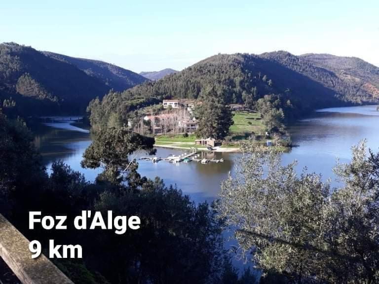 Casa Da Vila Figueiro Dos Vinhos Zewnętrze zdjęcie